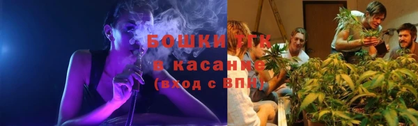ГАЛЛЮЦИНОГЕННЫЕ ГРИБЫ Остров