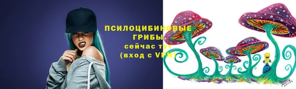 ГАЛЛЮЦИНОГЕННЫЕ ГРИБЫ Остров