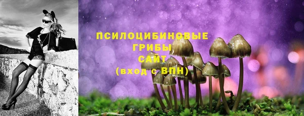 ГАЛЛЮЦИНОГЕННЫЕ ГРИБЫ Остров