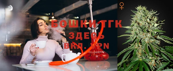 ГАЛЛЮЦИНОГЕННЫЕ ГРИБЫ Остров
