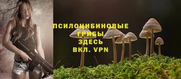 герыч Осташков