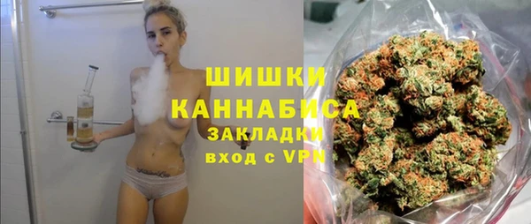 ГАЛЛЮЦИНОГЕННЫЕ ГРИБЫ Остров